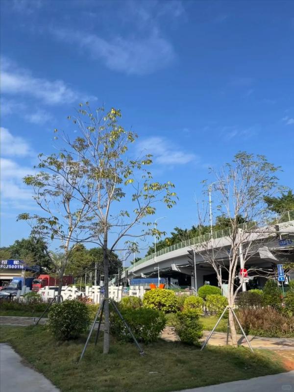 天河广州智慧港孵化器有限公司写字楼事务所形像图片189