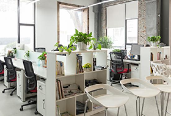 天河写字楼办公室也能春意浓！这些绿植让你的工作效率UP